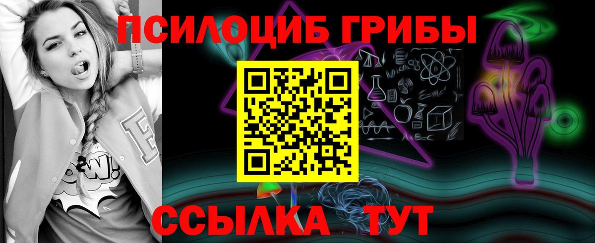 Псилоцибиновые грибы Cubensis  Вход с VPN  Кудымкар 